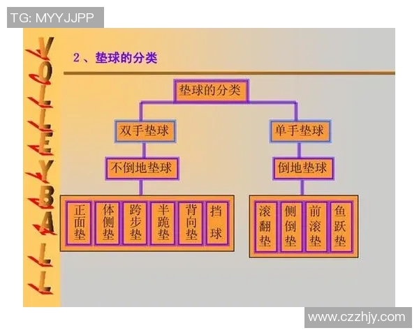上海羽毛球队的控制揭秘与深度分析探讨羽毛球运动的未来发展