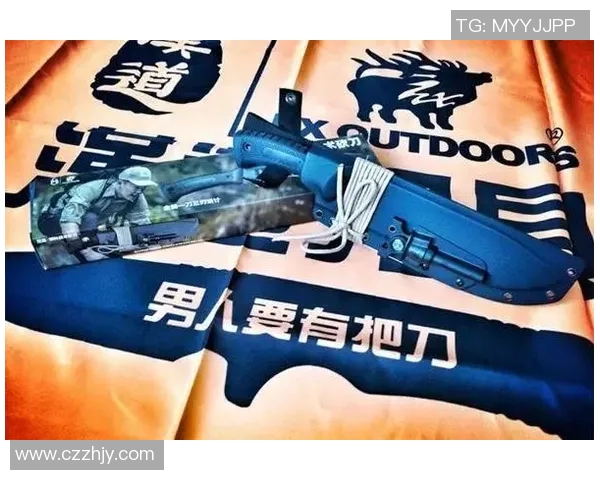 杭州羽毛球队进攻革新之路:技术提升与战术创新的深度解析 杭州羽毛球队进攻革新之路:技术提升与战术创新的深度解析