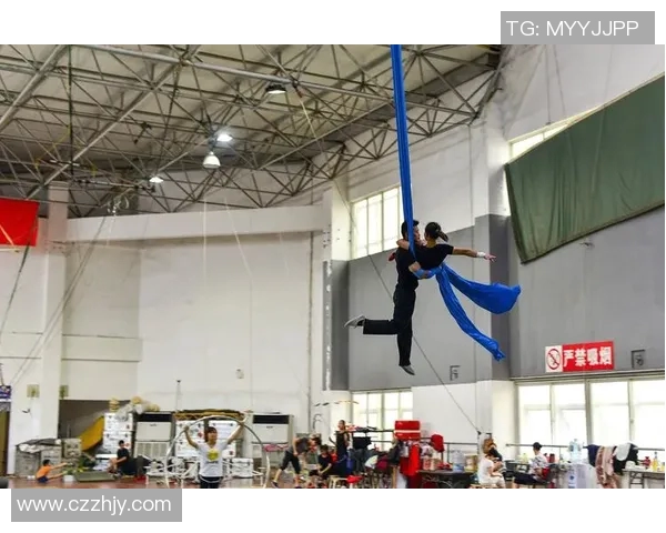 武汉羽毛球队转型之路揭秘：从传统强队到现代化竞技新标杆