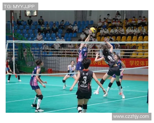 深圳排球队在大师赛中的技术表现分析与点评