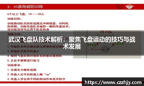 武汉飞盘队技术解析：聚焦飞盘运动的技巧与战术发展