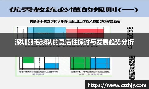 深圳羽毛球队的灵活性探讨与发展趋势分析