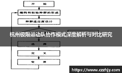 杭州极限运动队协作模式深度解析与对比研究